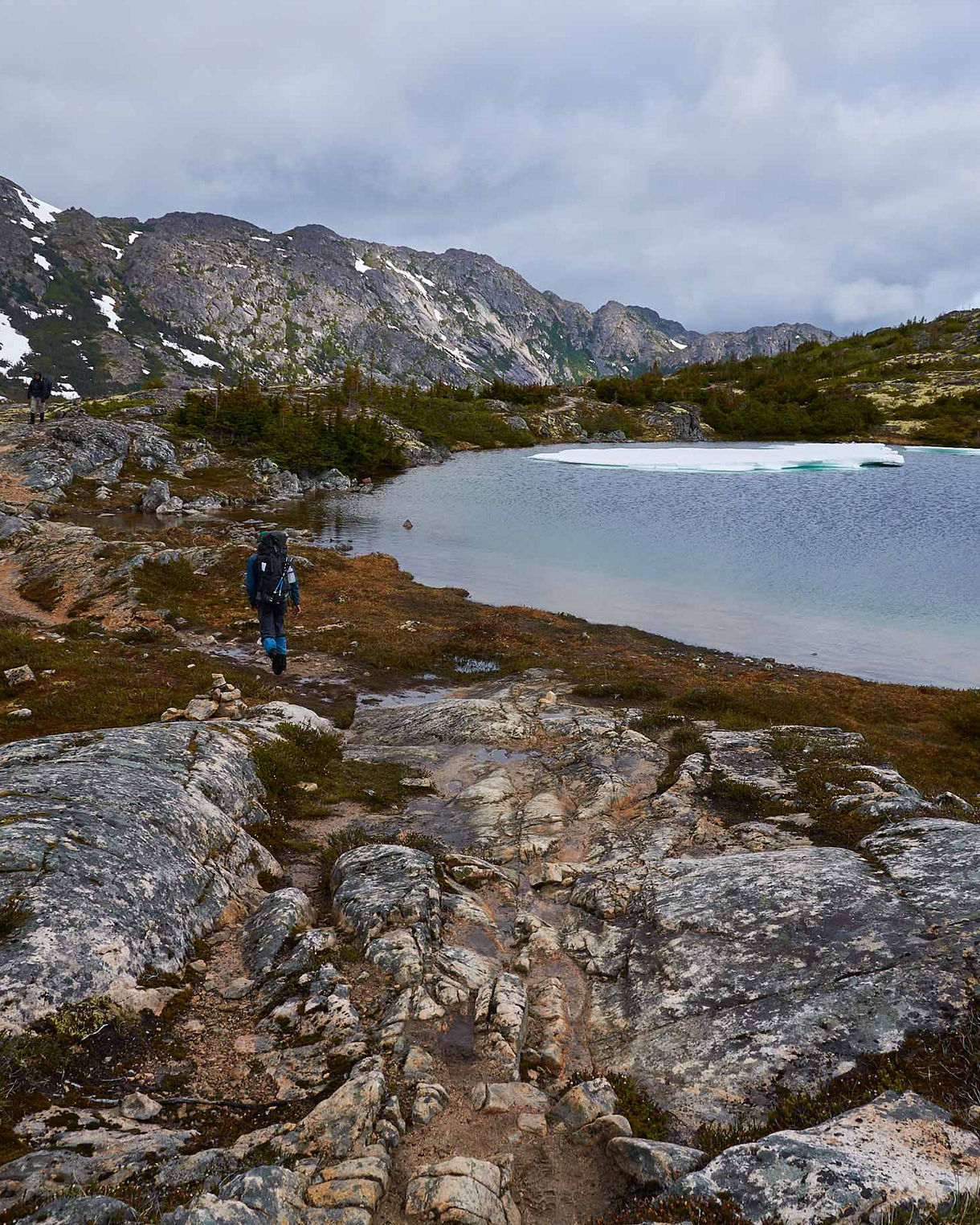 A scenic view of Skagway's wilderness, featuring a flowing river surrounded by dense evergreen trees, rocky terrain and distant mountains.